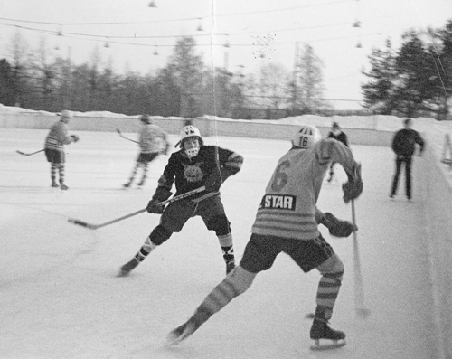 Kari Saarikko Ilves