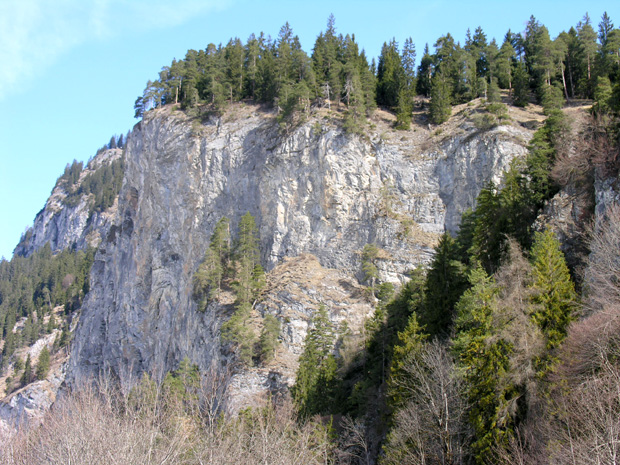 Doberman menetelm�