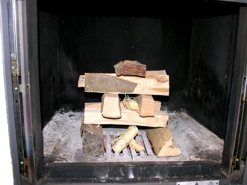 Py�kki� polttopuuna - ei koto Suomessa!