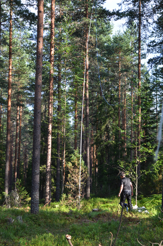 OH2NOS/p Jyr�ll�!