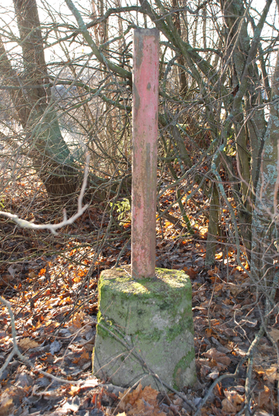 Pikkujoulukysymys 2011