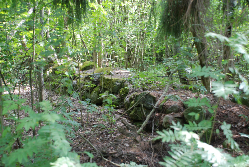 Karim�en mett�n kulttuurihistoriallinen kiviaita