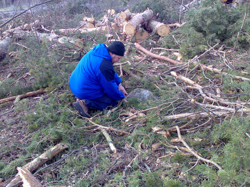 Sello ettii Killikive�!