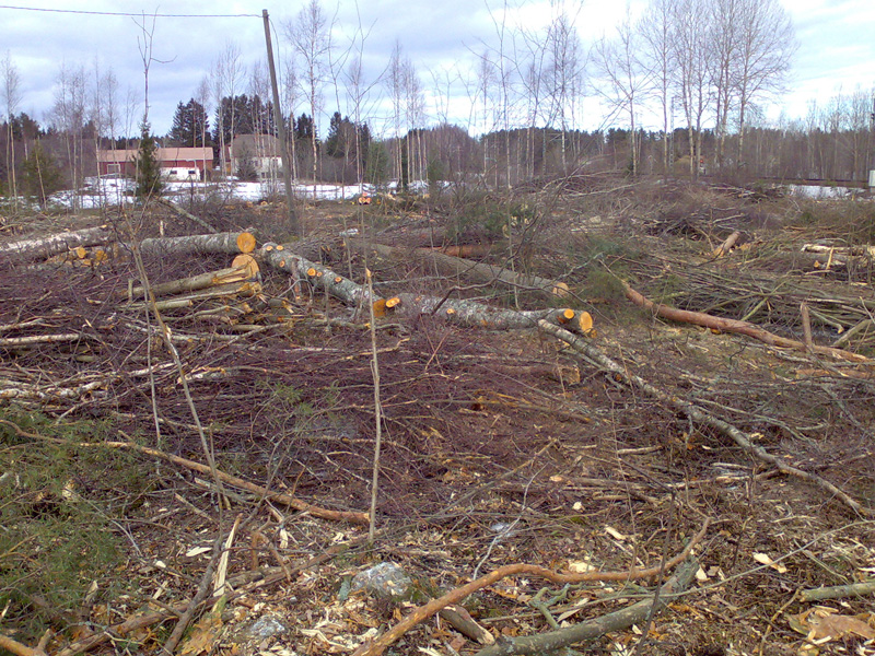 Person talo n�kyy taustalla!