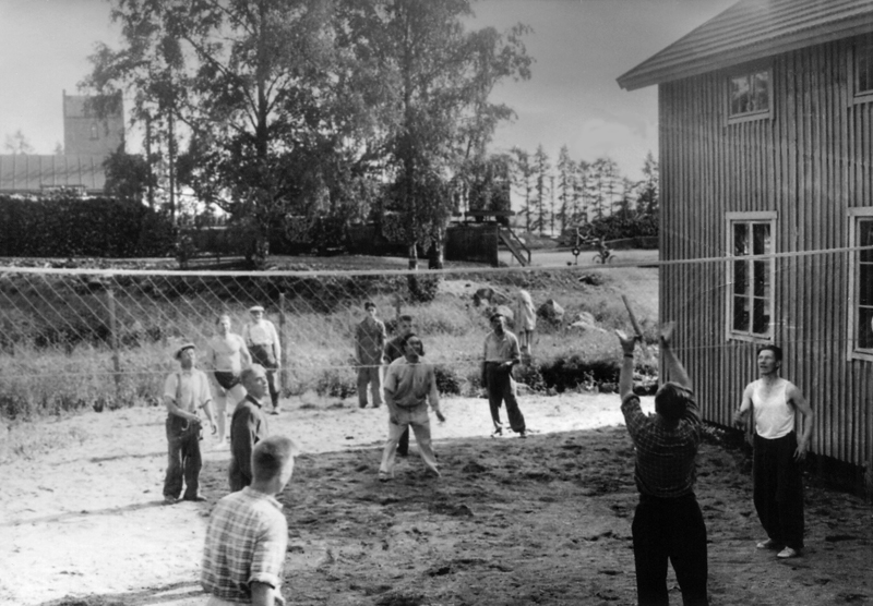 Työpaikkalentopalloa Nälkälänmäessa